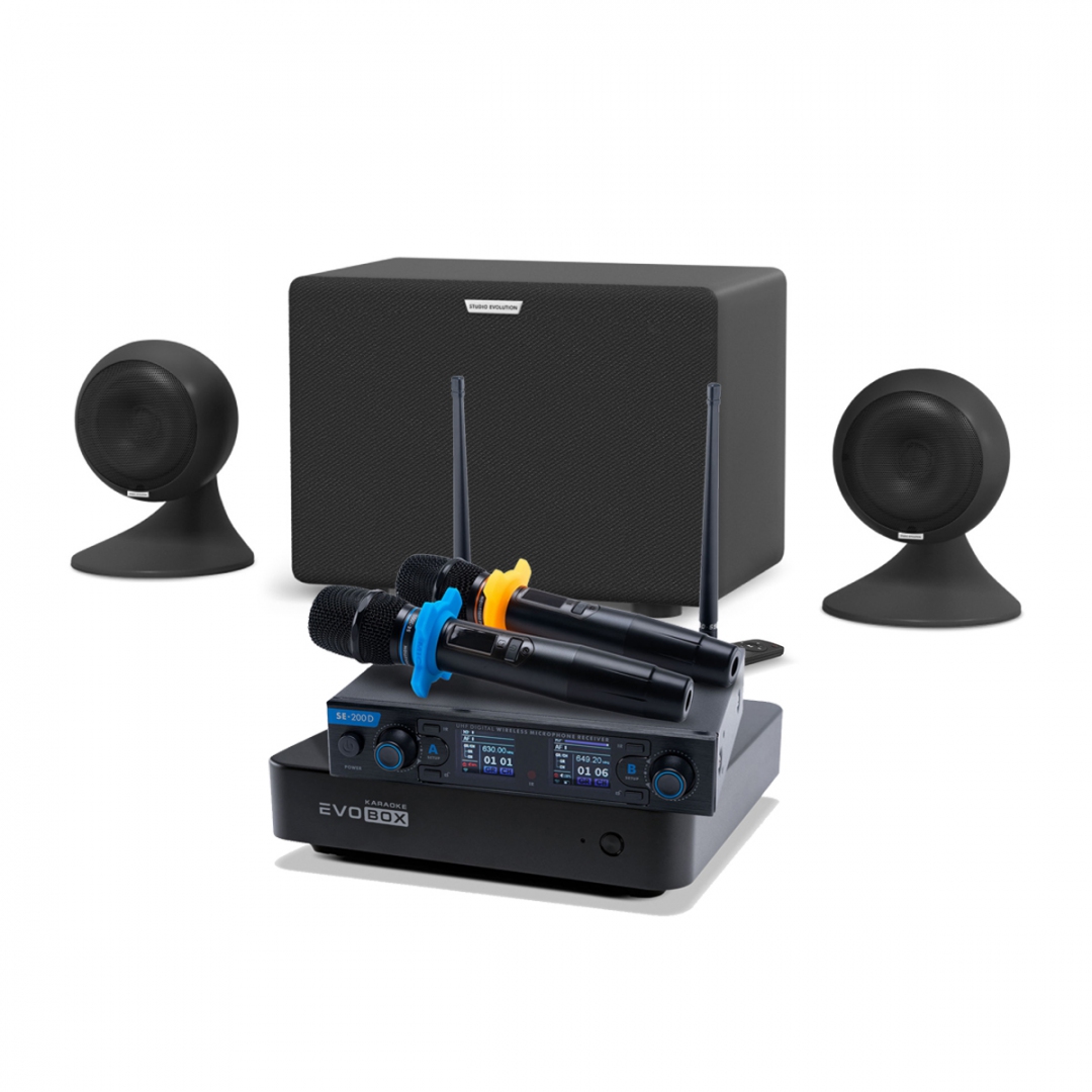 караоке-комплект EVOBOX + EvoSound Sphere 2.1 в Трехгорном