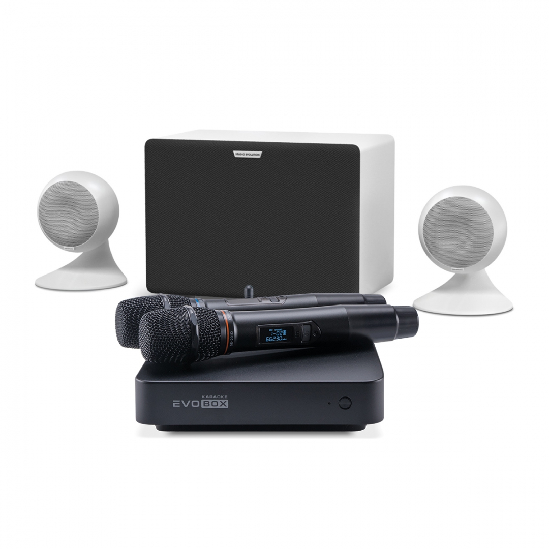 караоке-комплект EVOBOX Classic + EvoSound Sphere 2.1 в Трехгорном