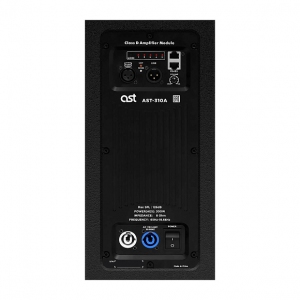 Активная акустическая система AST-310A в Трехгорном
