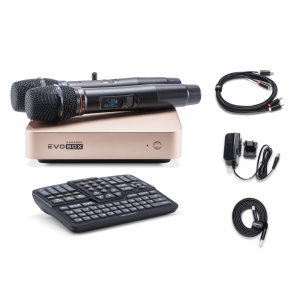 EVOBOX Classic караоке-система для дома в Трехгорном